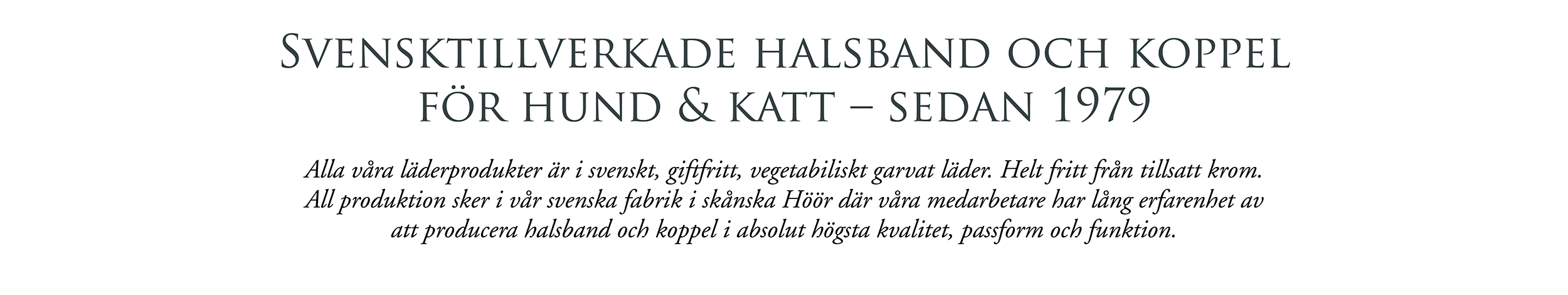 Text banner